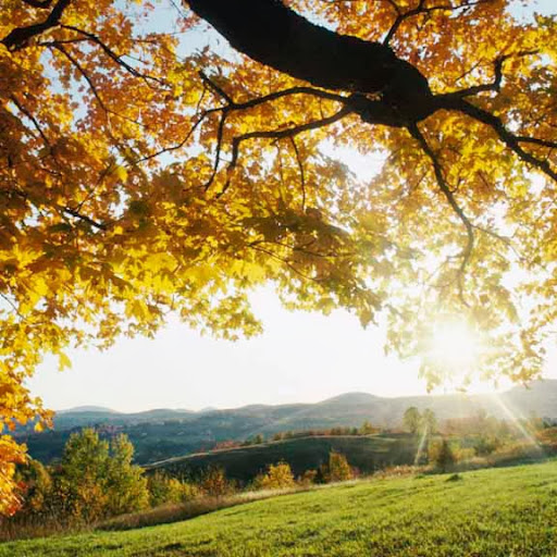 Edna Morris Photo 30