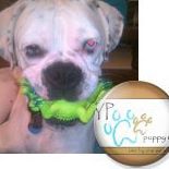 Henry Booth Photo 24