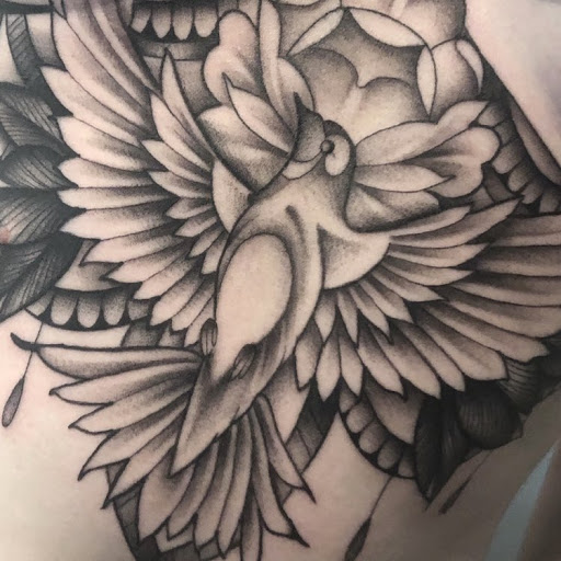 Lisa Cosentino Photo 15