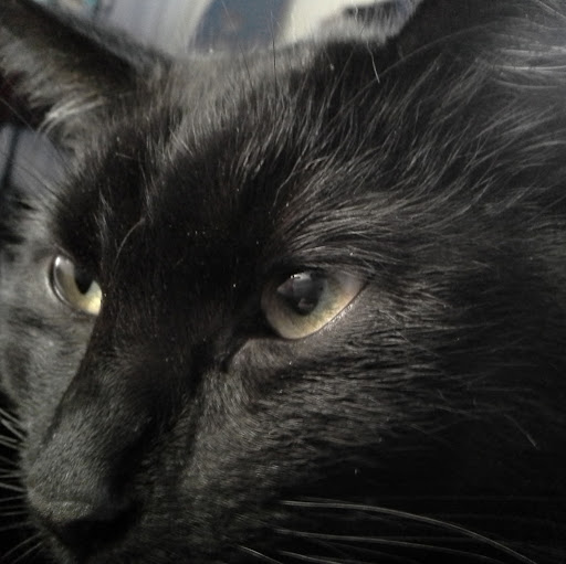 Linda Nicholls Photo 31