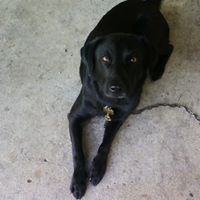 Timothy Rich Photo 24 Timothy Rich Photo 24