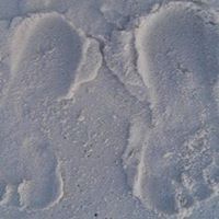 Janet Burger Photo 20