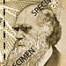 Charles May Photo 30