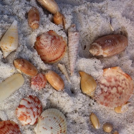 Michelle Dent Photo 15