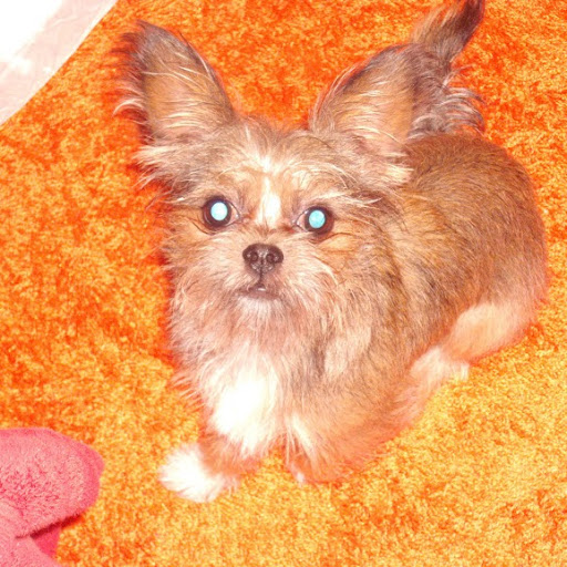 Kathy Conner Photo 37