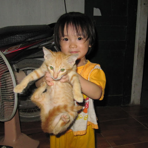 Hue Tran Photo 22
