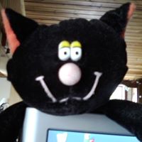 Kristine Higgins Photo 8