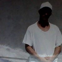 David Gwynn Photo 5