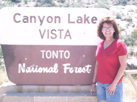 Debbie Anderson Photo 35