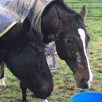 Jo Cartwright Photo 19