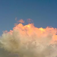 Ronald West Photo 17 Ronald West Photo 17