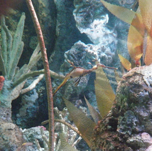 Elizabeth Beyer Photo 23