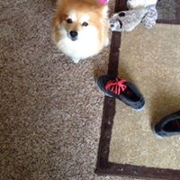 Elsie Rose Photo 7