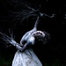 Helen Warner Photo 11