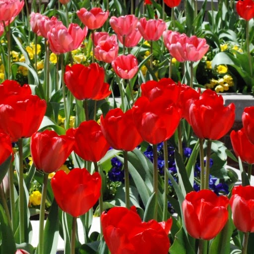 Laura Atchley Photo 13