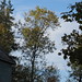 Judith Lindberg Photo 14
