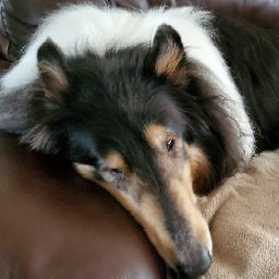 Benny Long Photo 7