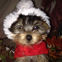 Cindy Garris Photo 20