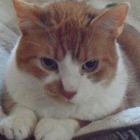 Jill Carlton Photo 19