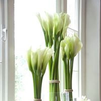 Dorothy Newcomb Photo 14