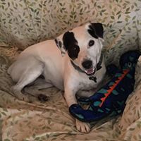 Christina Connolly Photo 13