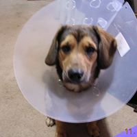 Elaine Sharp Photo 13