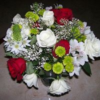 Christine Sieg Photo 8