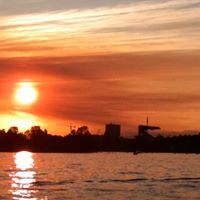 Toni Robertson Photo 22