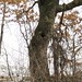 Thomas Eagan Photo 17