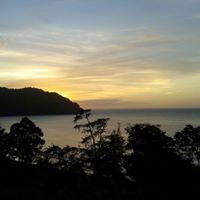 Candace Stephens Photo 18