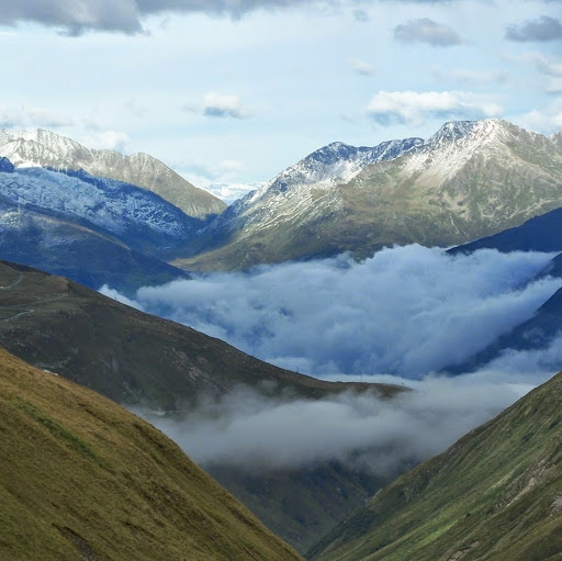 Erick Guzman Photo 30