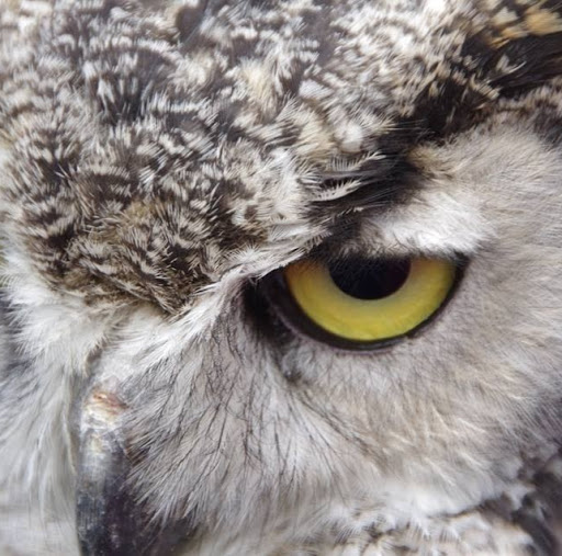 Karen Weeks Photo 24