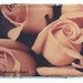 Deborah Hand Photo 23