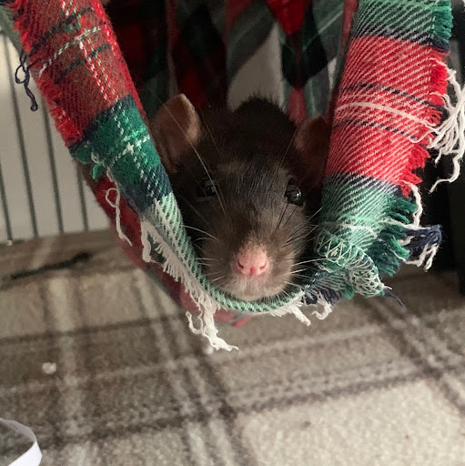 Danny Allen Photo 33 Danny Allen Photo 33