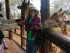 Karen Goldman Photo 16