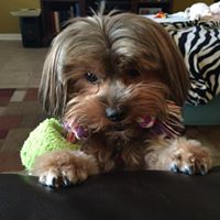 Janet Fritz Photo 20