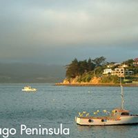 Fred Webber Photo 12