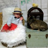 Cindy Mcclain Photo 11