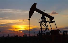 Alejandro Gomez Photo 26