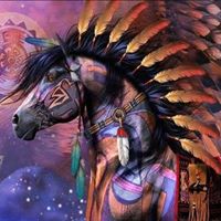 Patricia Baumgartner Photo 8