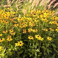 Kathryn Beck Photo 41 Kathryn Beck Photo 41