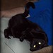 Ursula Downs Photo 9