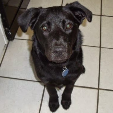 Christopher Henderson Photo 19