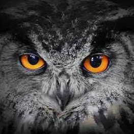 Andy Townsend Photo 29