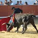 Cesar Ordonez Photo 33