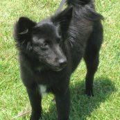 Kimberly Schafer Photo 15