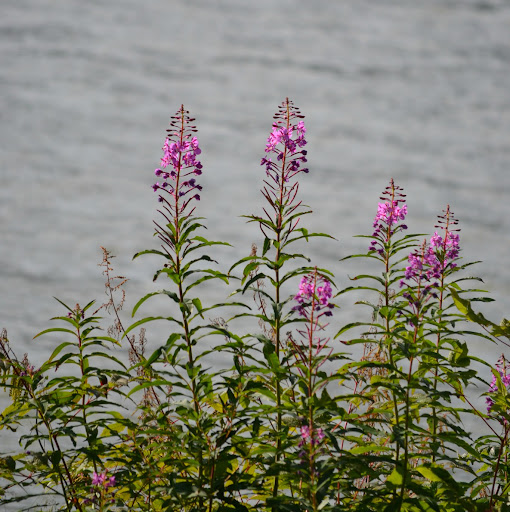 Nicole Nance Photo 10