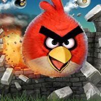 Robert Chen Photo 19