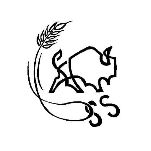 Scott Schafer Photo 12