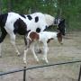 Jenny Bunch Photo 16